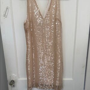 A New Day  Sequin Dress - champagne/ blush cream color